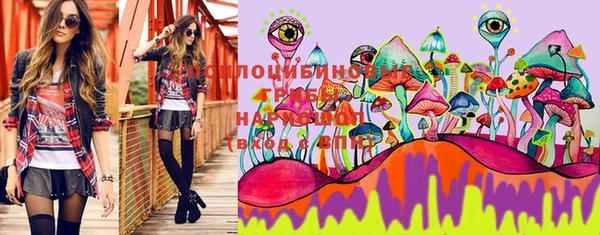 a pvp Кодинск