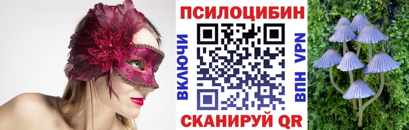 Купить закладки  Волгоград  Псилоцибиновые грибы Magic Shrooms 